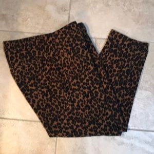 Animal Print Slacks - 14 Tall